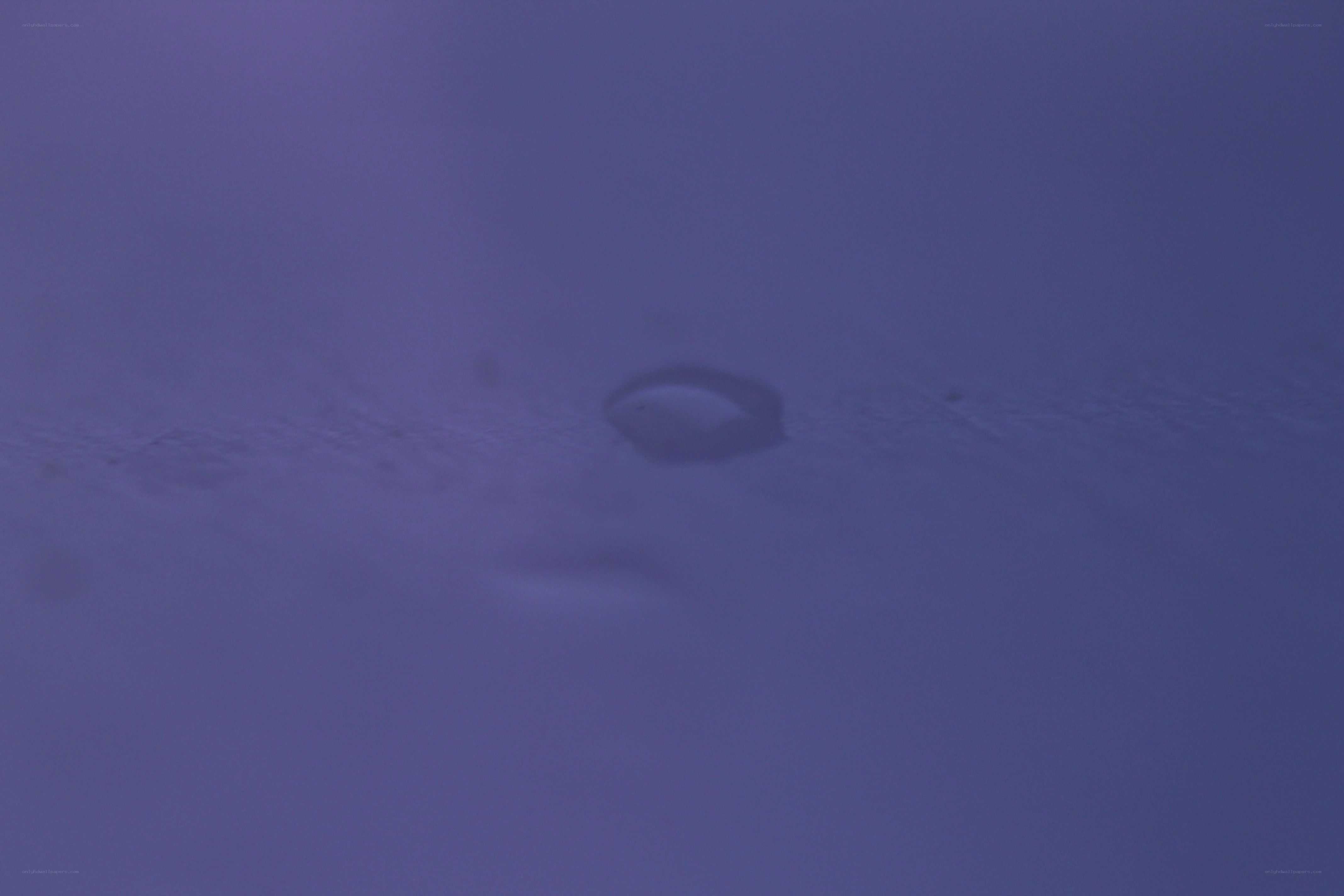 blurry purple surface with droplet