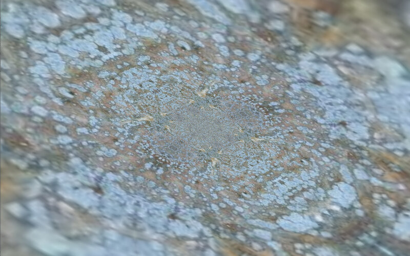 blurry rock surface texture