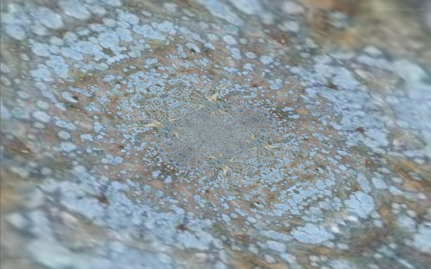 blurry rock surface texture