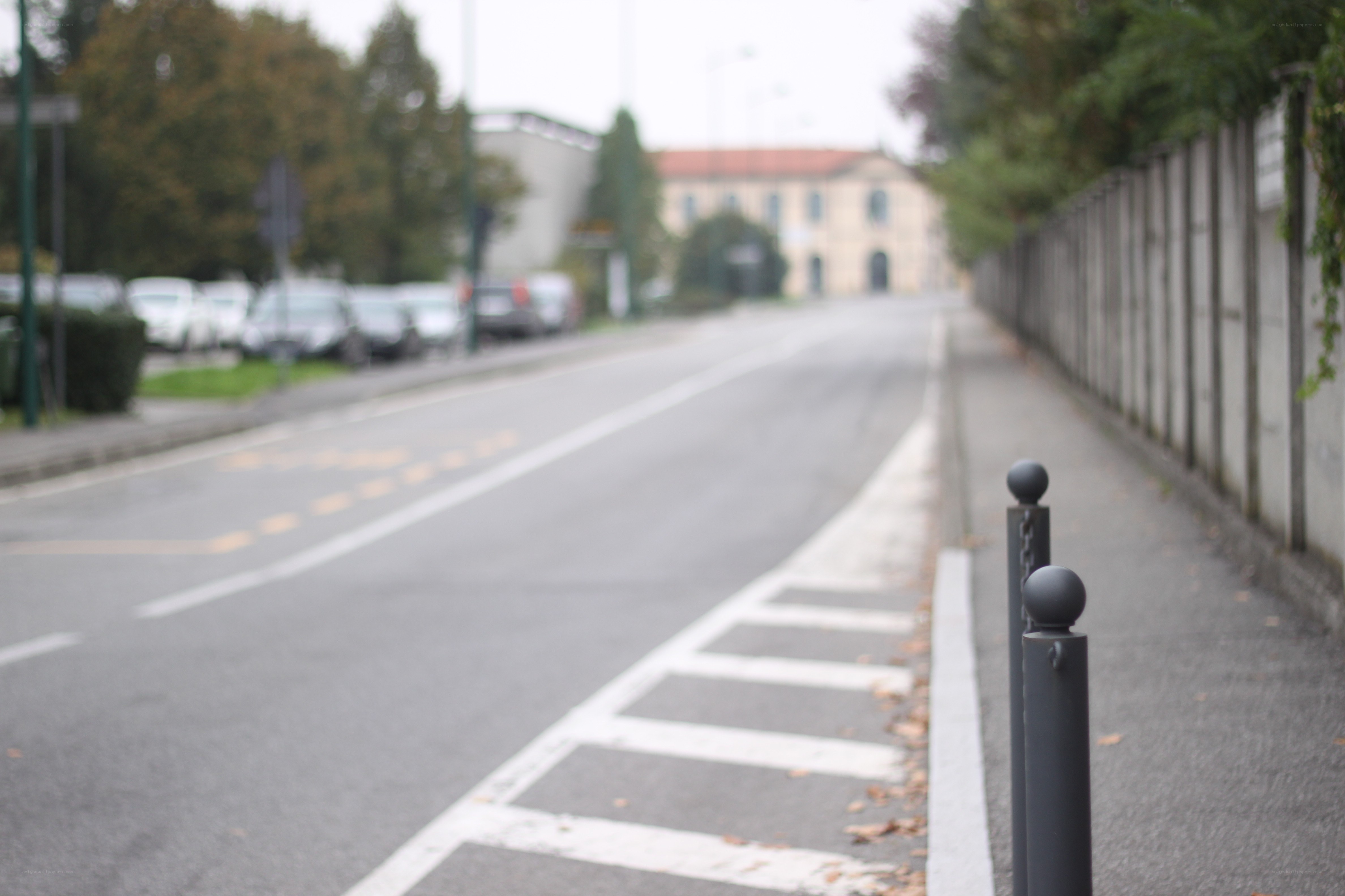 blurry street scene with bollards