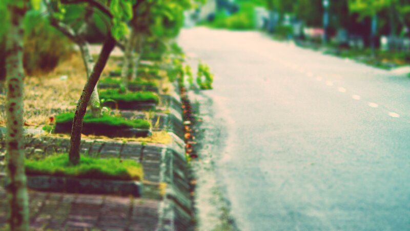 blurry street with trees