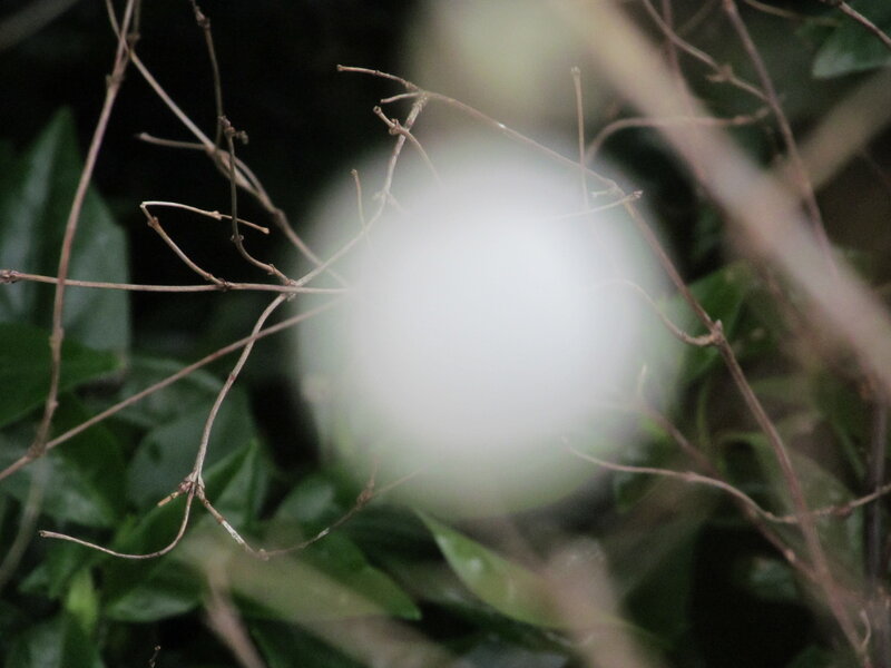 Blurry White Sphere