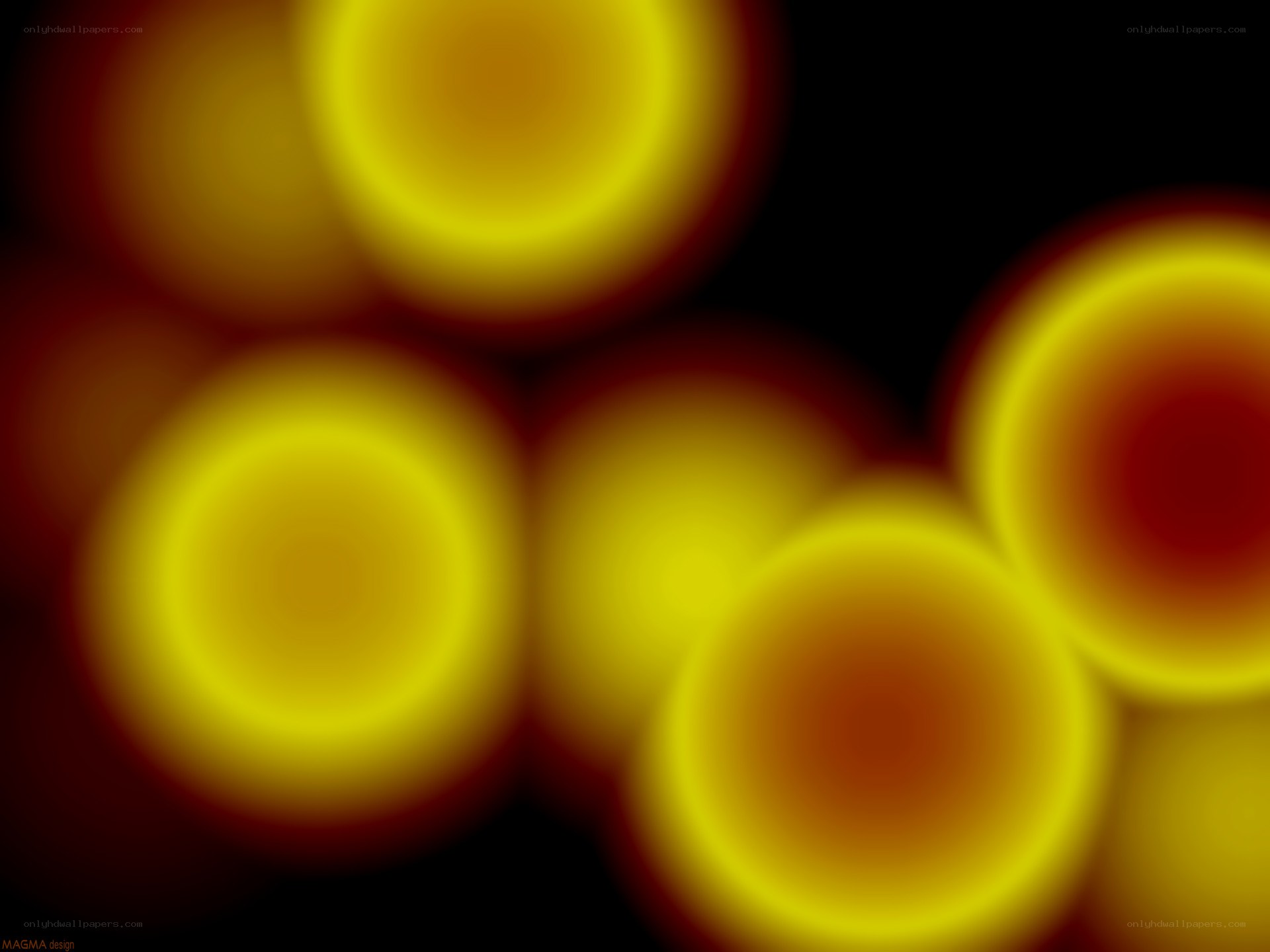 blurry yellow circles on black
