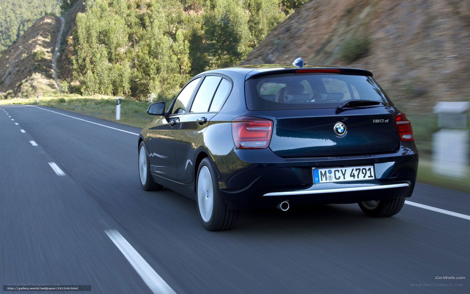 BMW 120d on a winding road