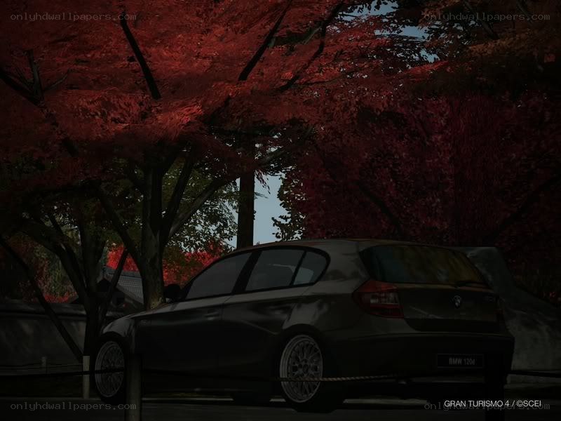 BMW 120d under red trees