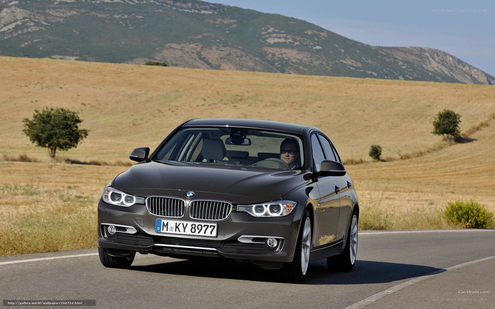 BMW 3 Series on a country road