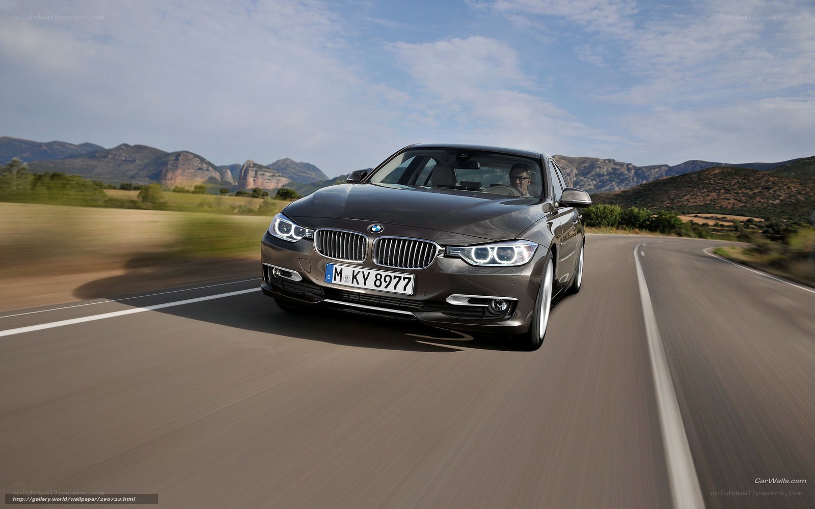BMW 3 Series on a scenic road