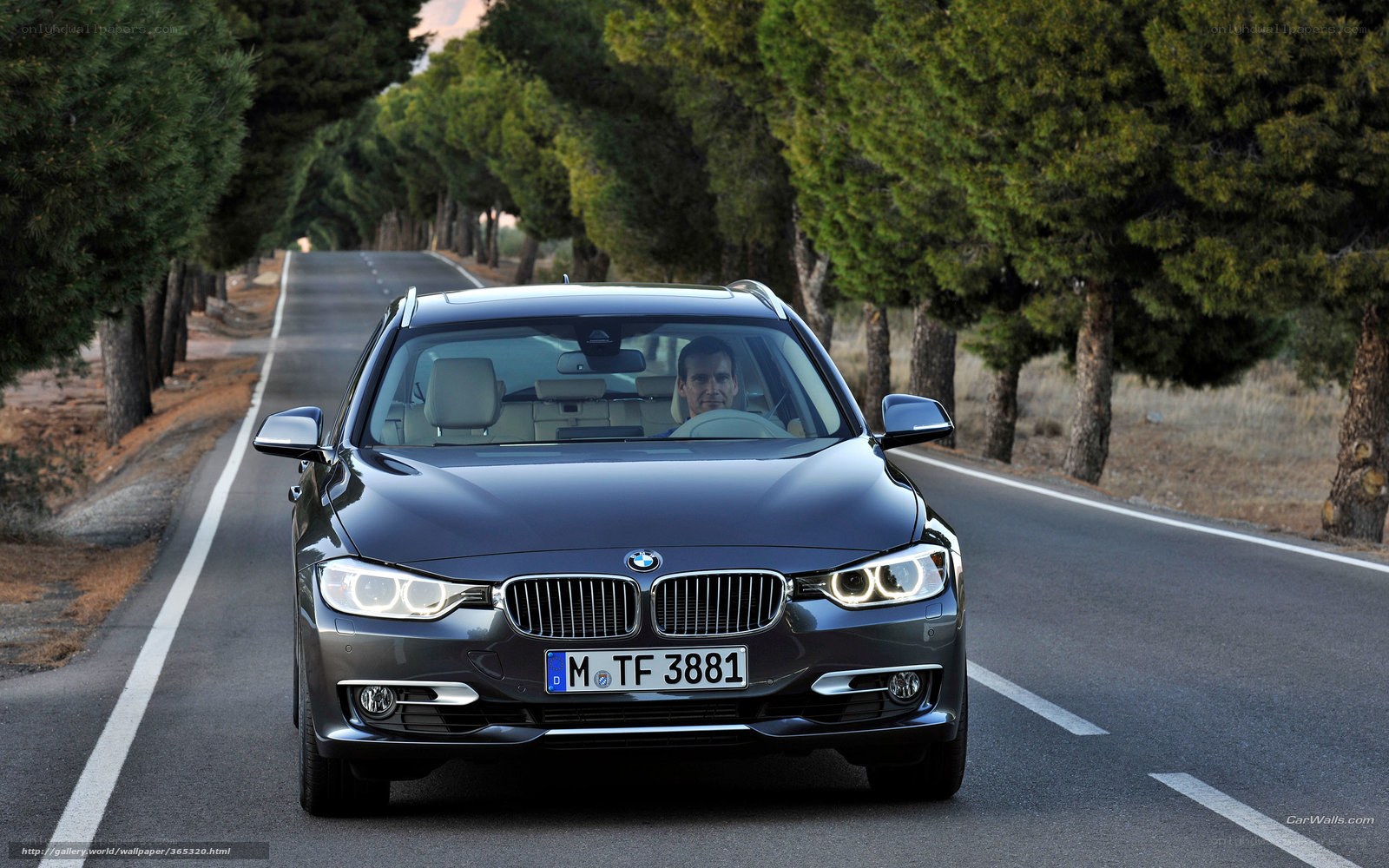 BMW 3 Series on a tree-lined road