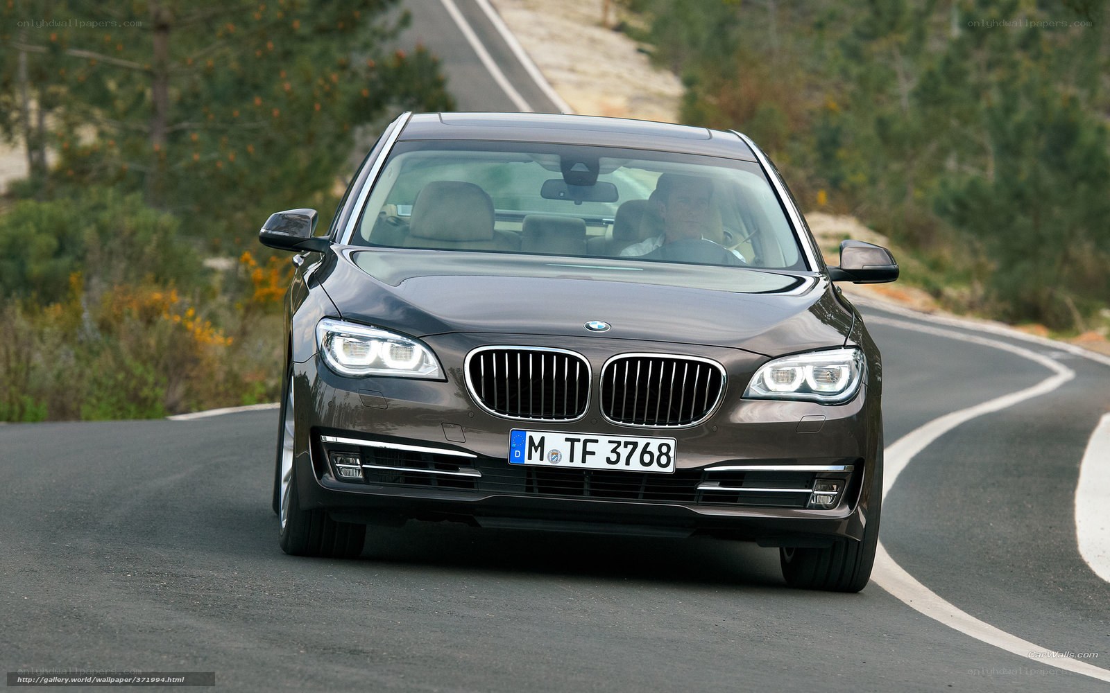 BMW 7 Series on winding road