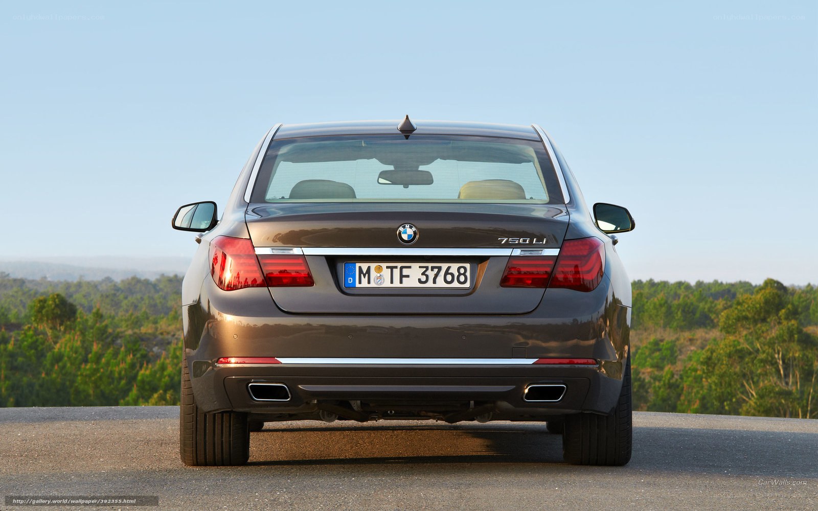 BMW 750Li rear view