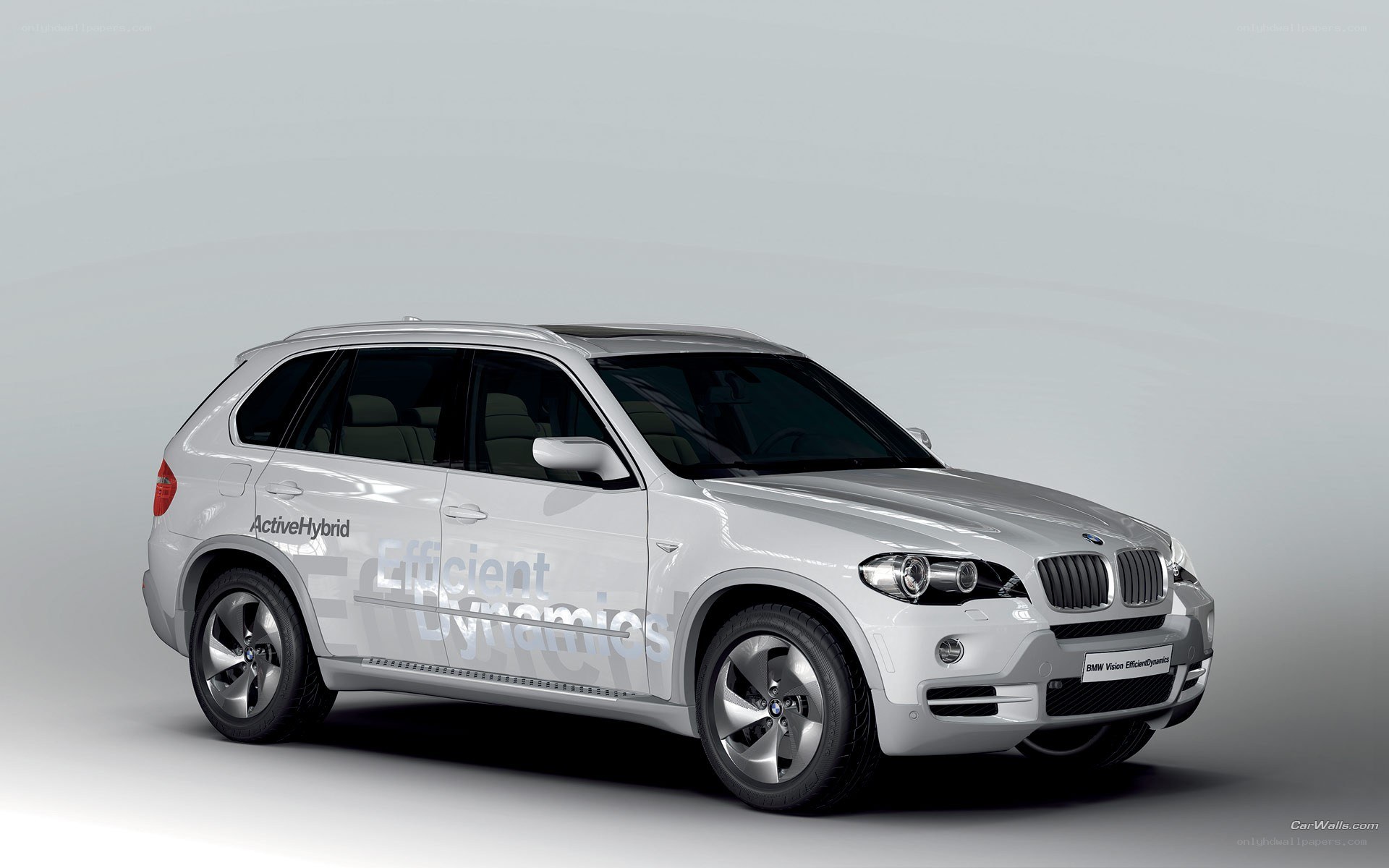 BMW ActiveHybrid SUV