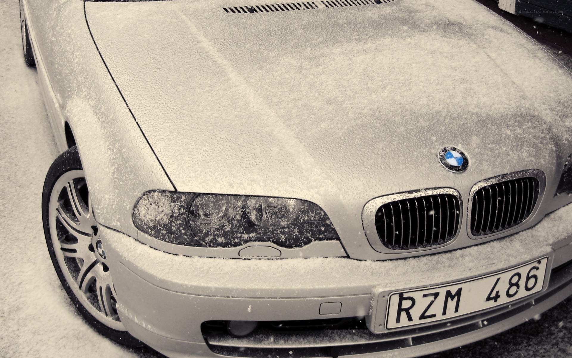 BMW car covered in snow