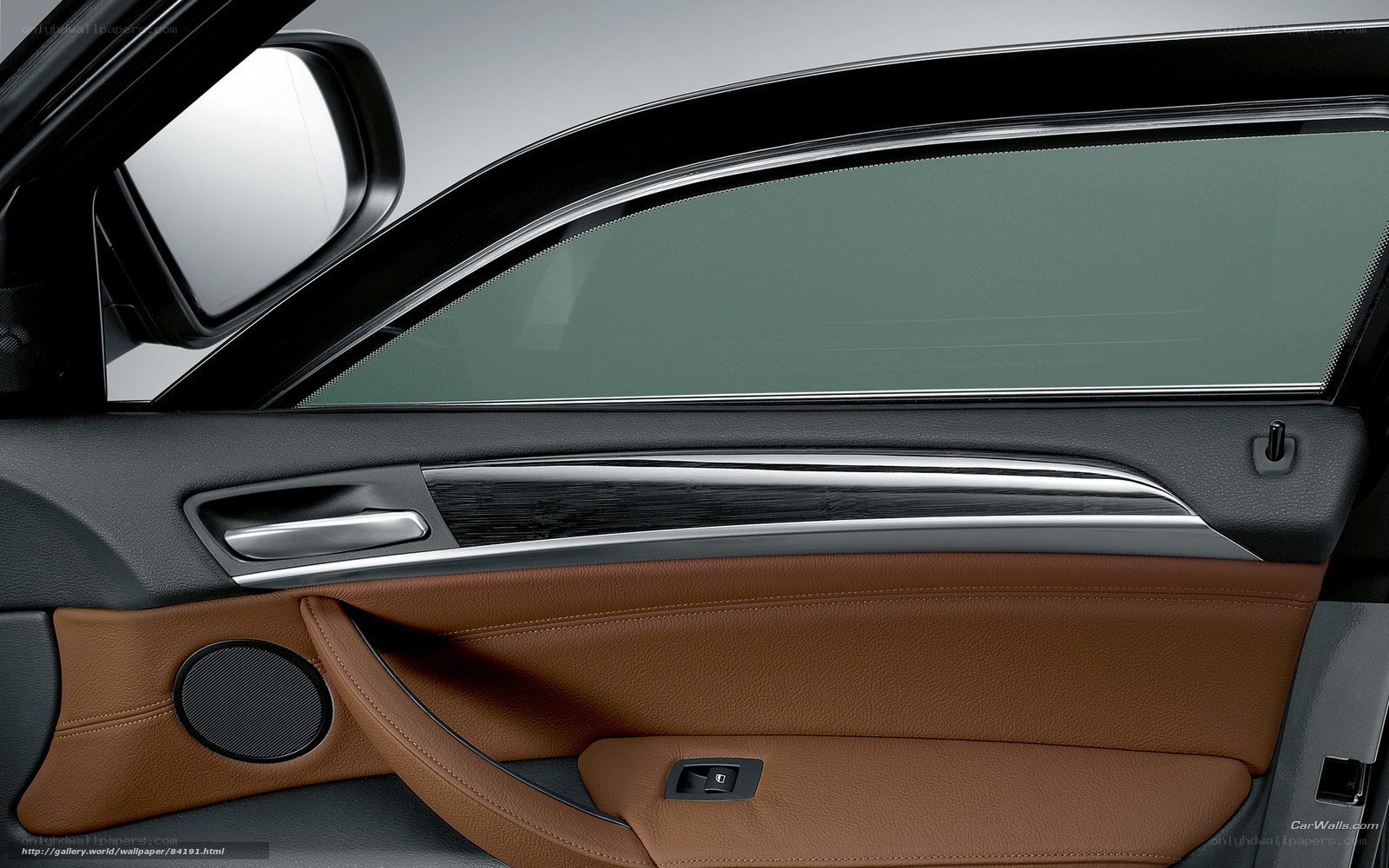 BMW car door interior
