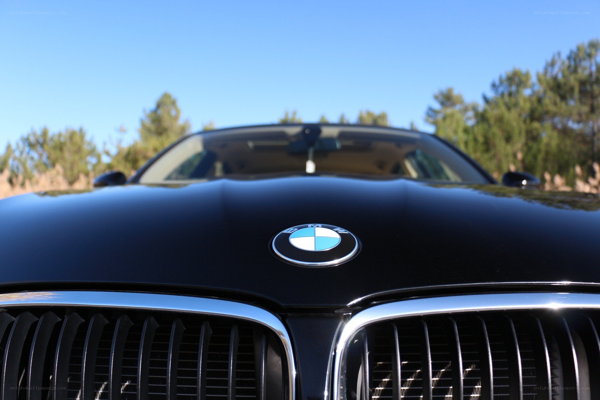 BMW car front view