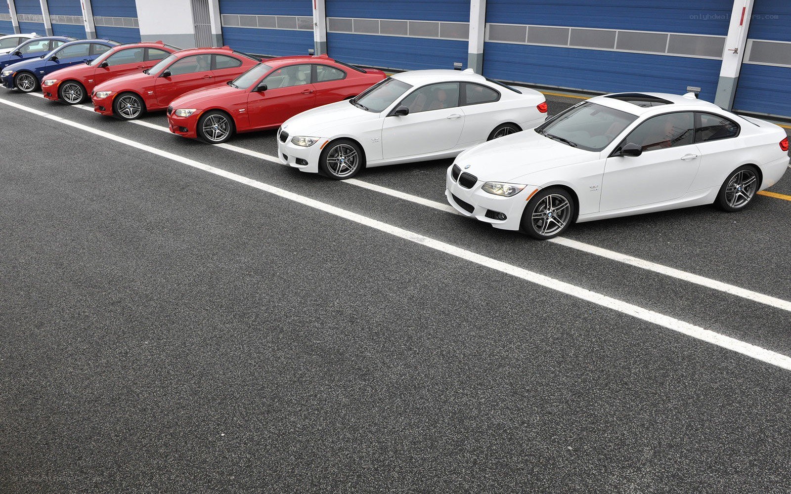 BMW cars in a row