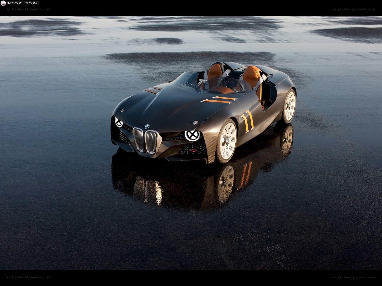 BMW Concept Car on Wet Surface