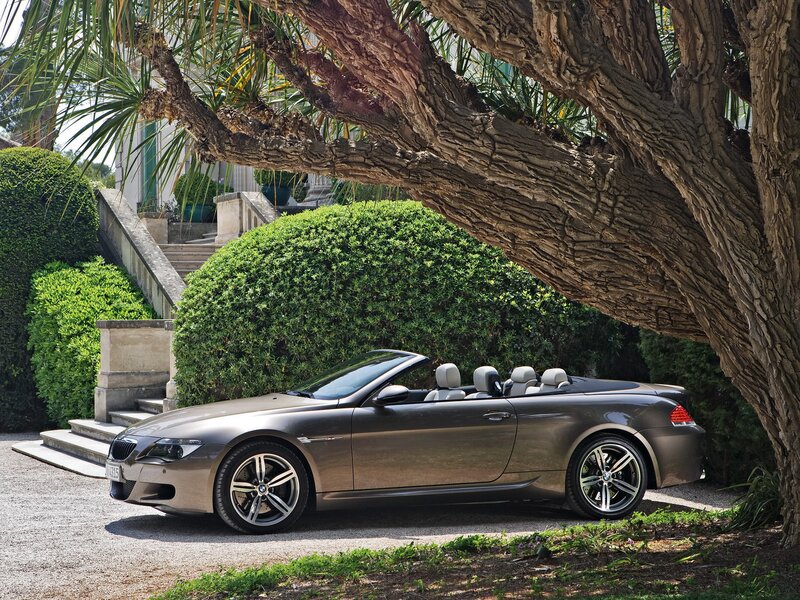 BMW convertible under a tree