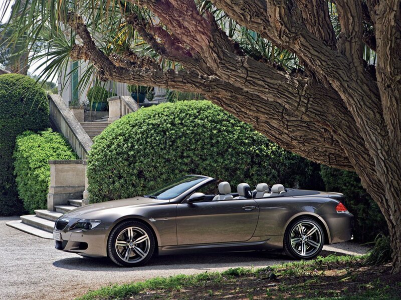 BMW convertible under tree