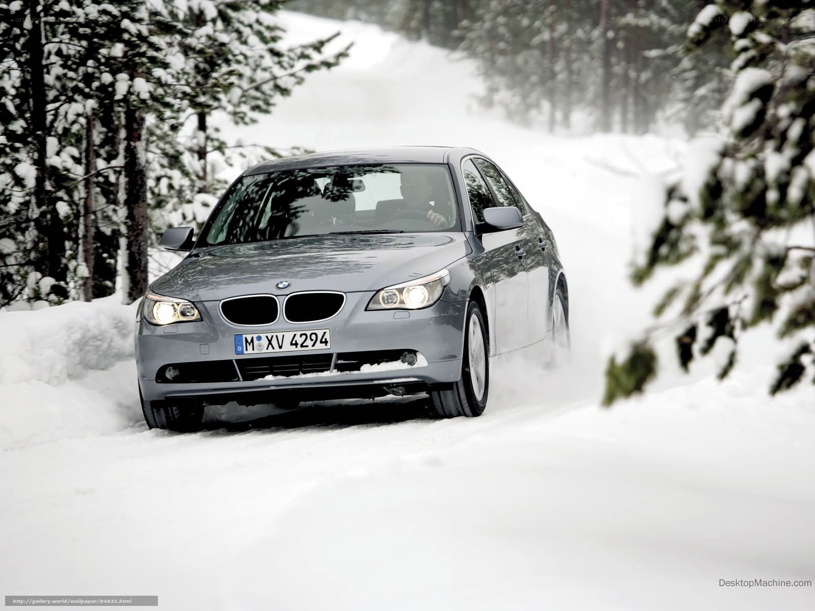 BMW driving in snowy forest