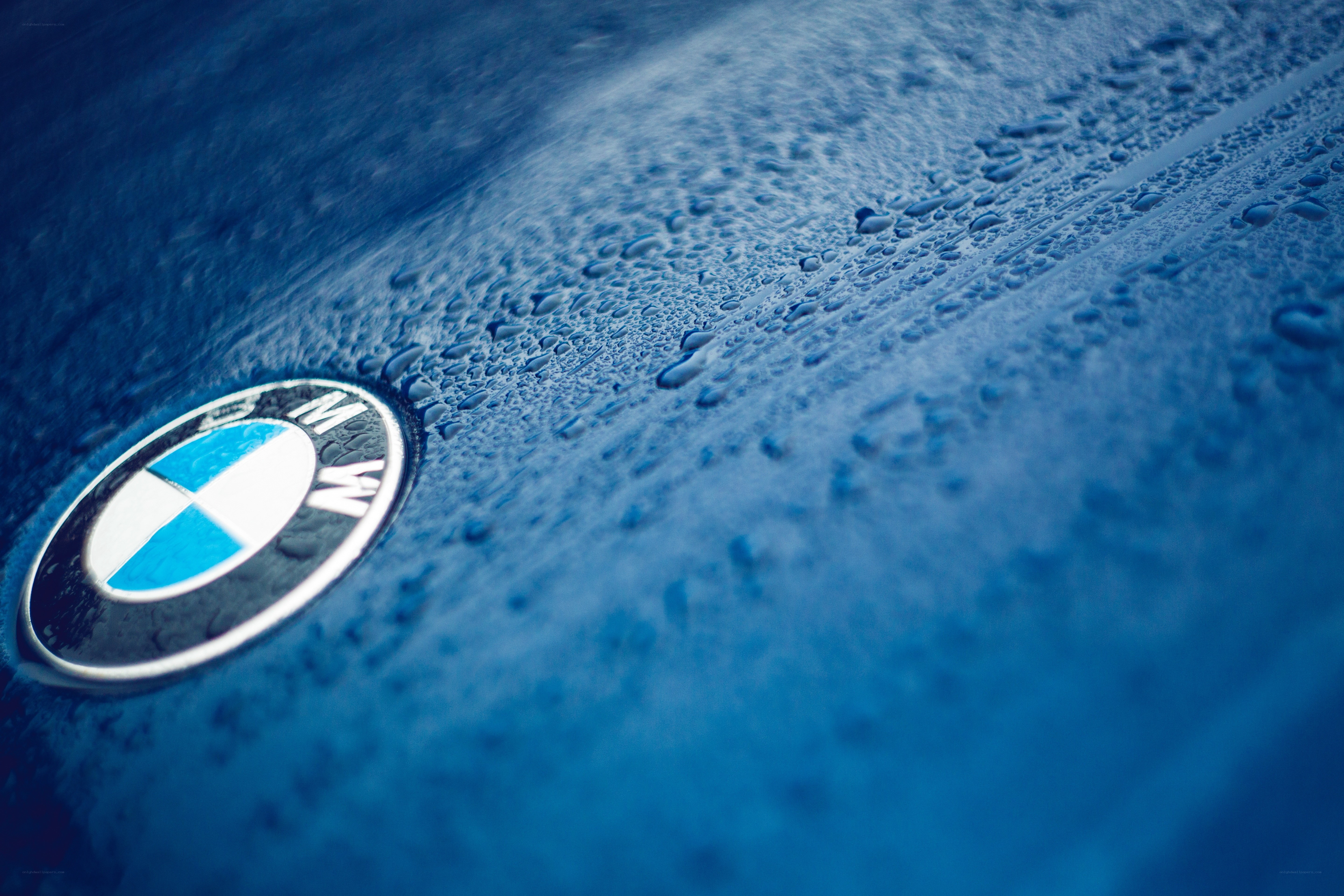 BMW emblem on wet blue surface
