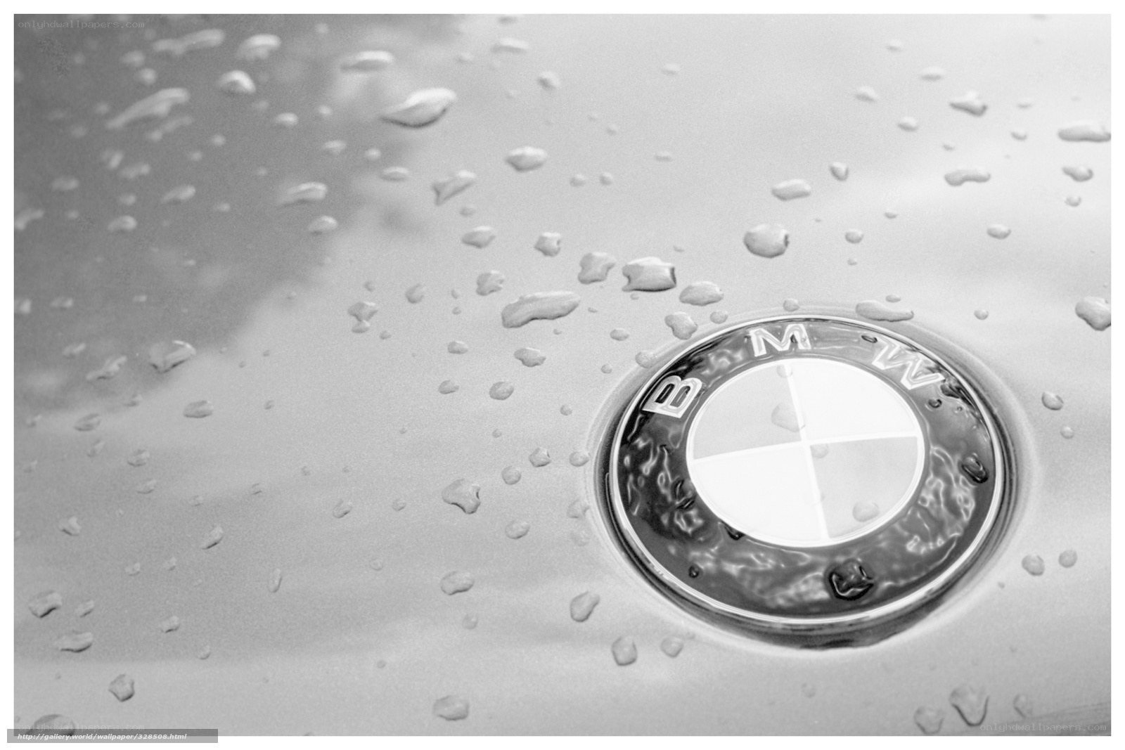 BMW emblem on wet car surface