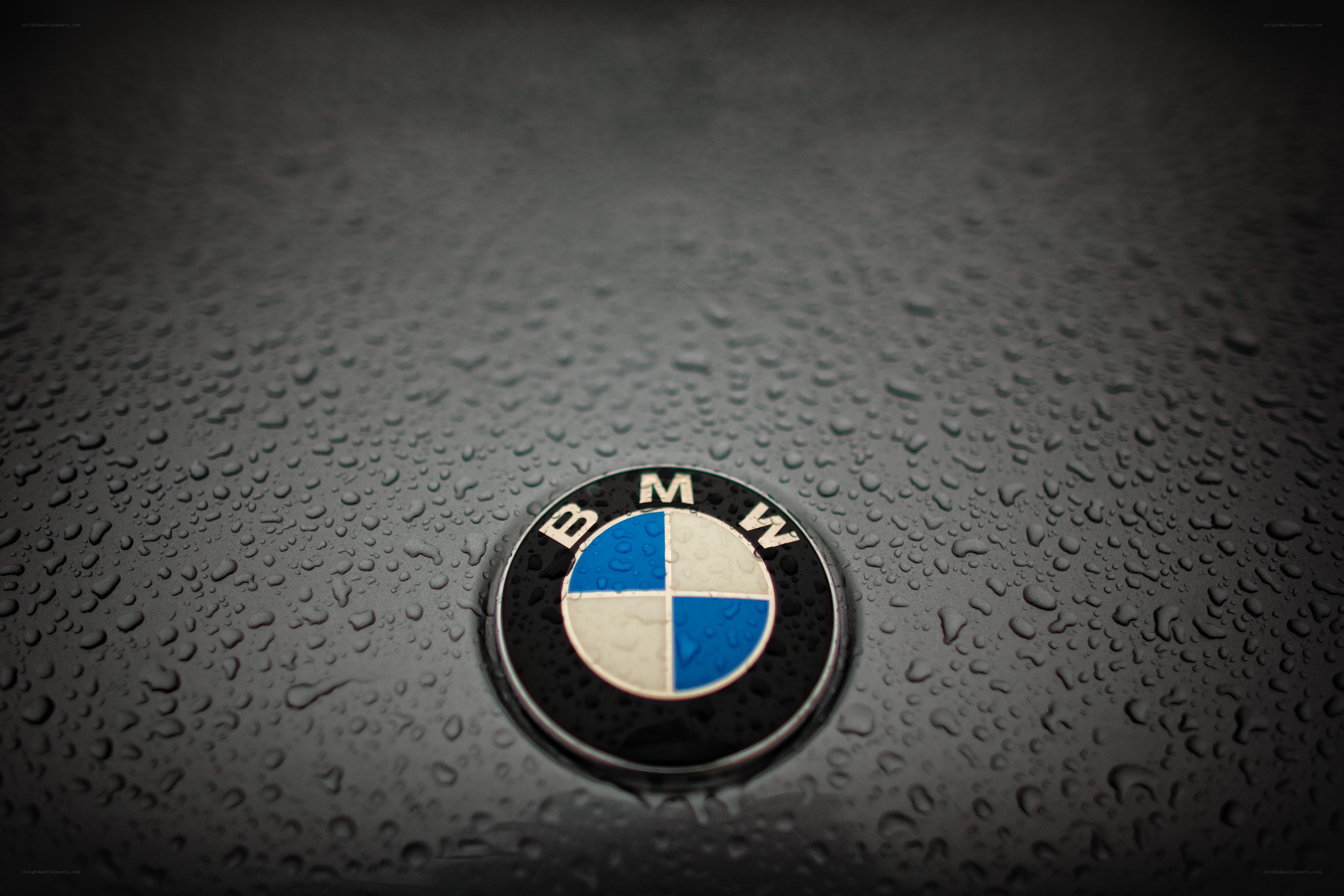 BMW emblem on wet surface