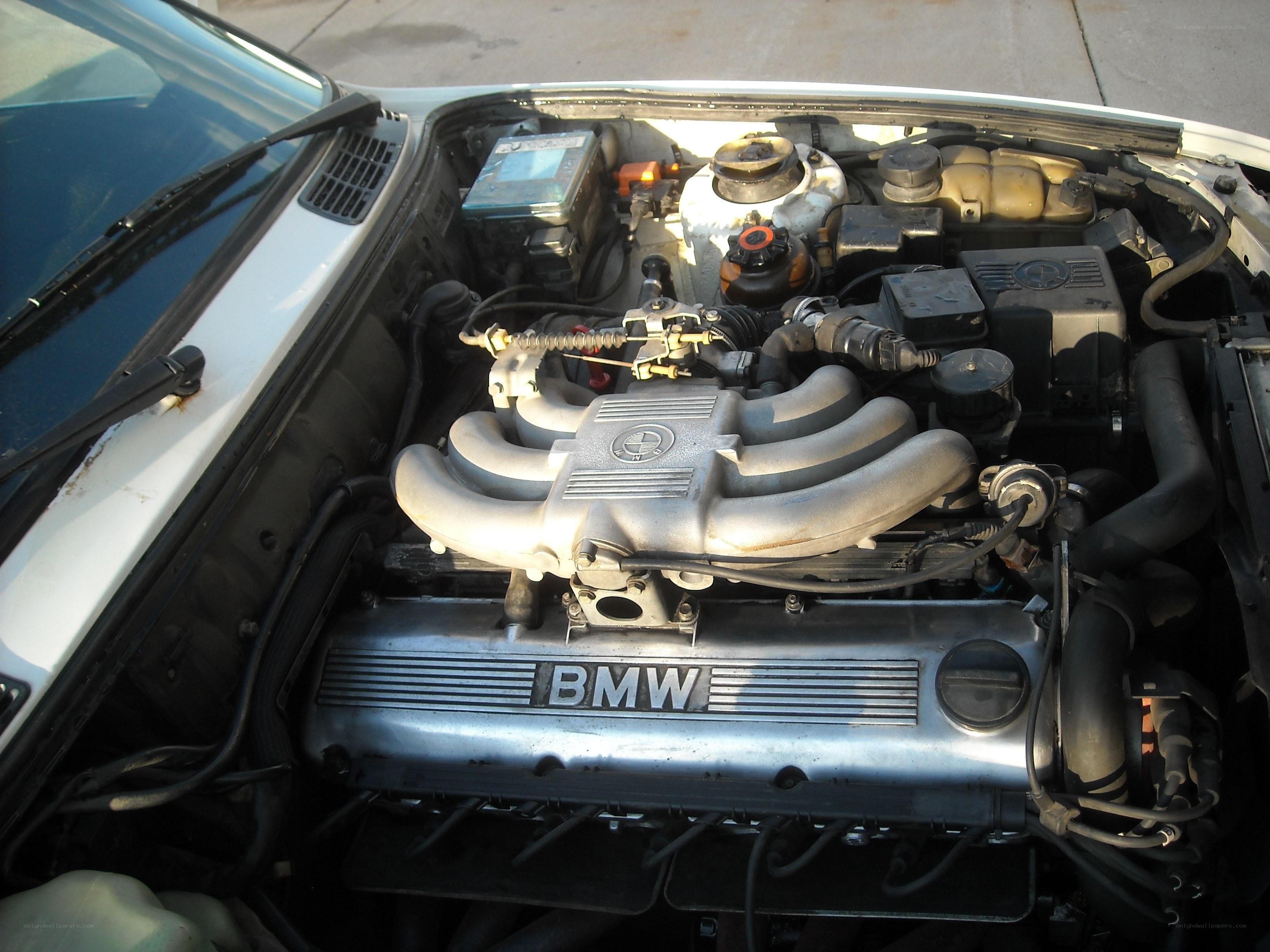 BMW engine bay