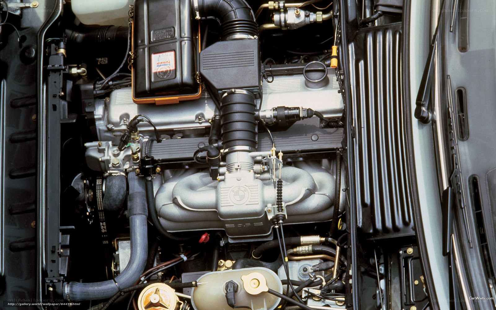 BMW engine bay close-up