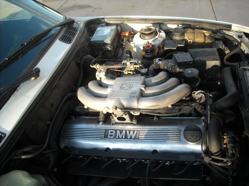 BMW Engine Bay — Silver, Neutral
