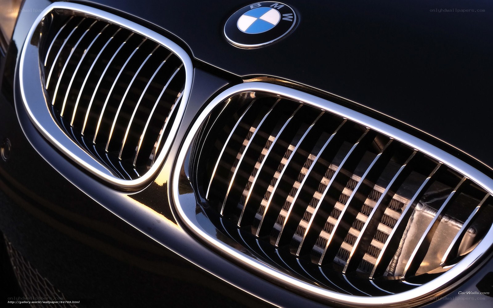 BMW front grille close-up