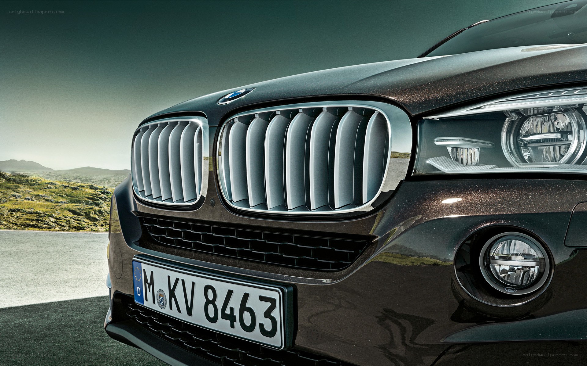 BMW front grille close-up