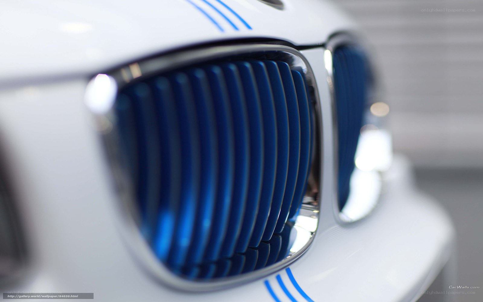 BMW grille with blue accents