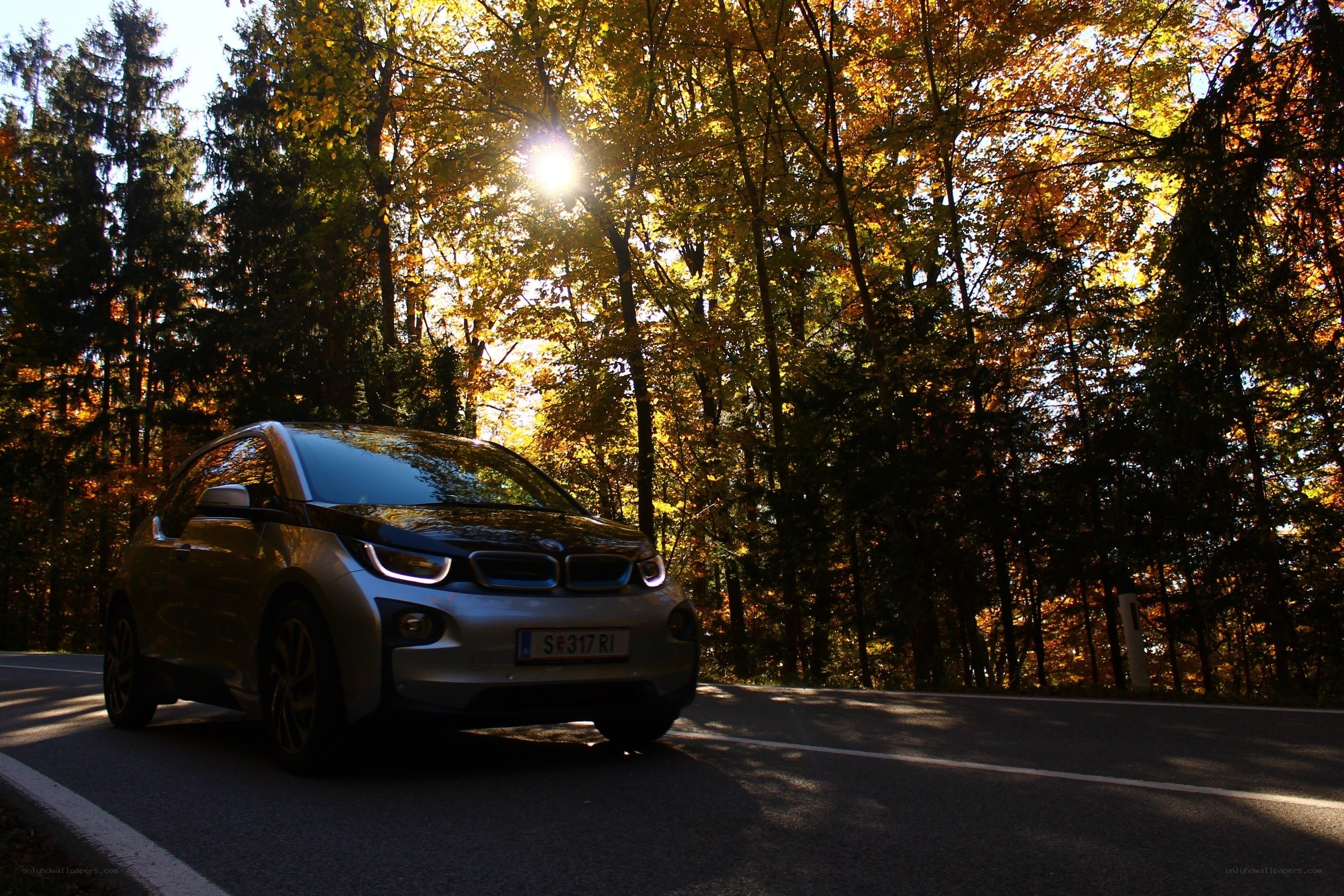 BMW i3 on a forest road
