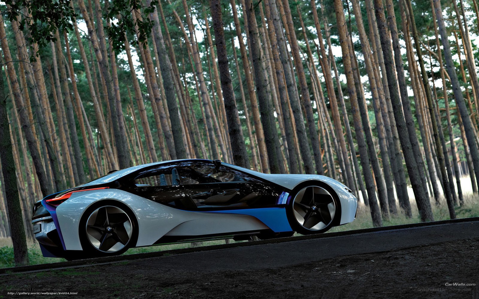 BMW i8 Concept in forest