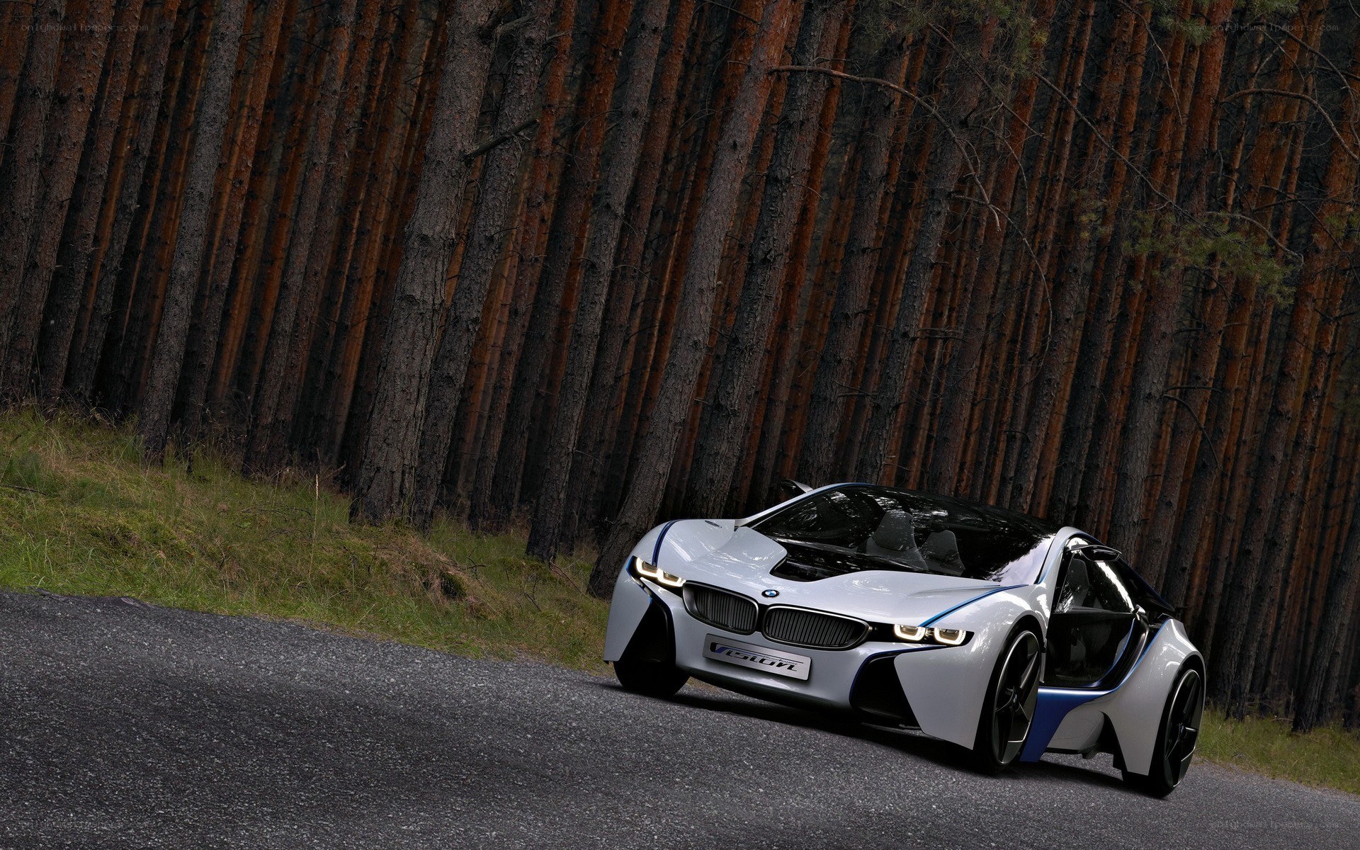 BMW i8 Concept on forest road