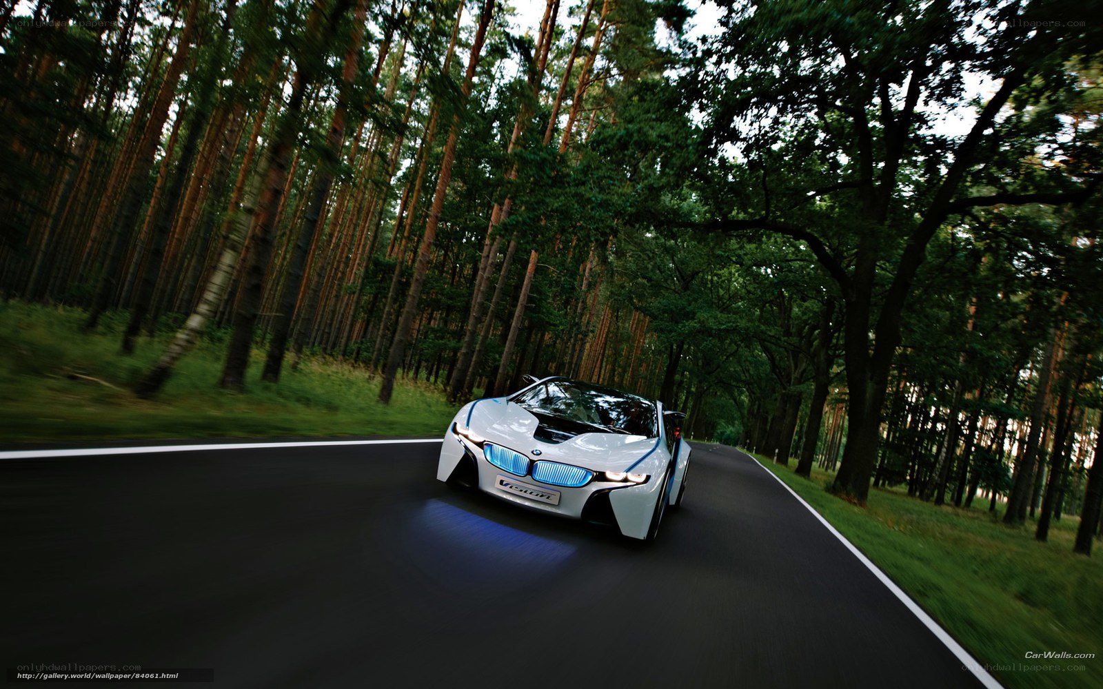BMW i8 Concept on forest road