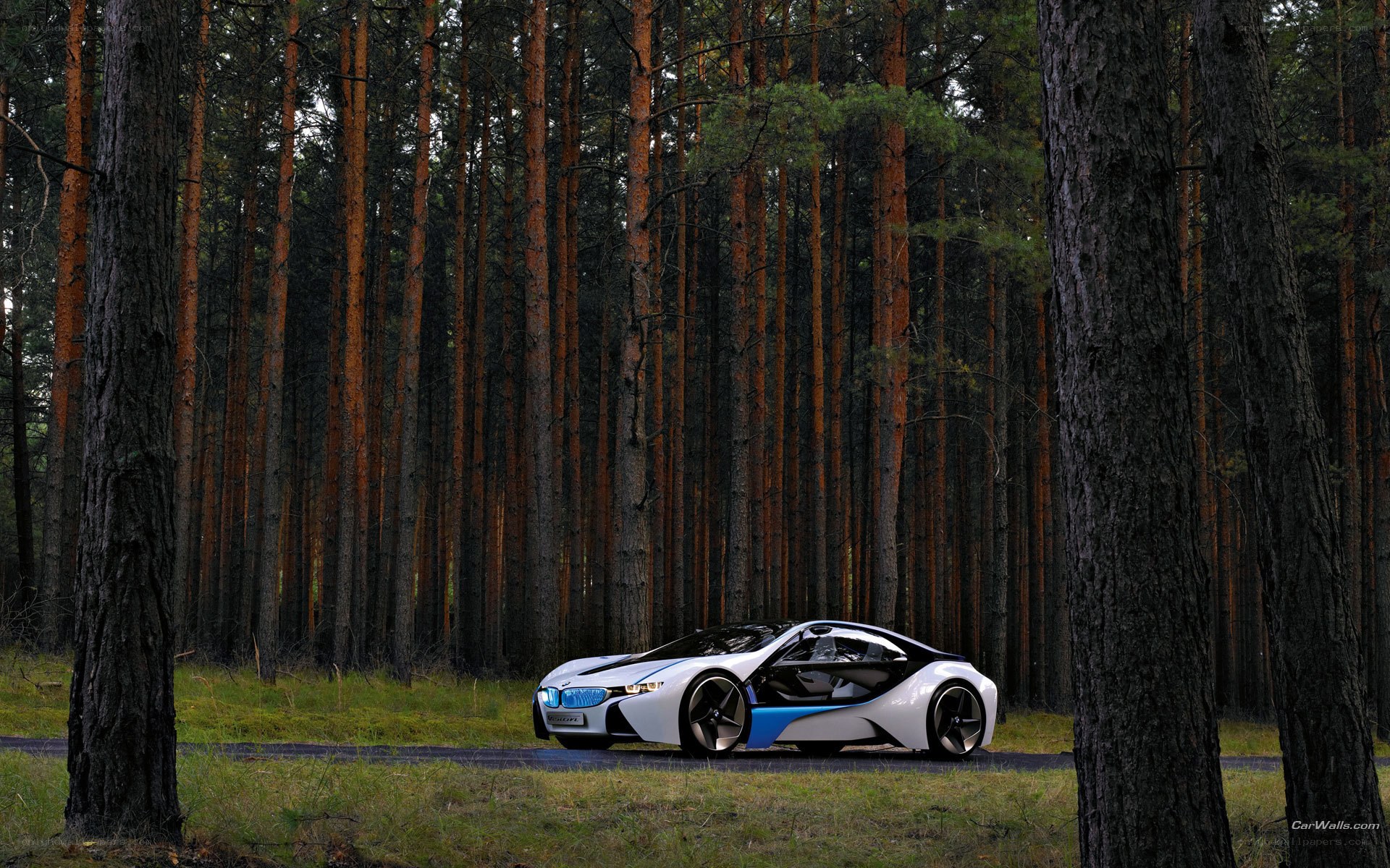 BMW i8 in a forest