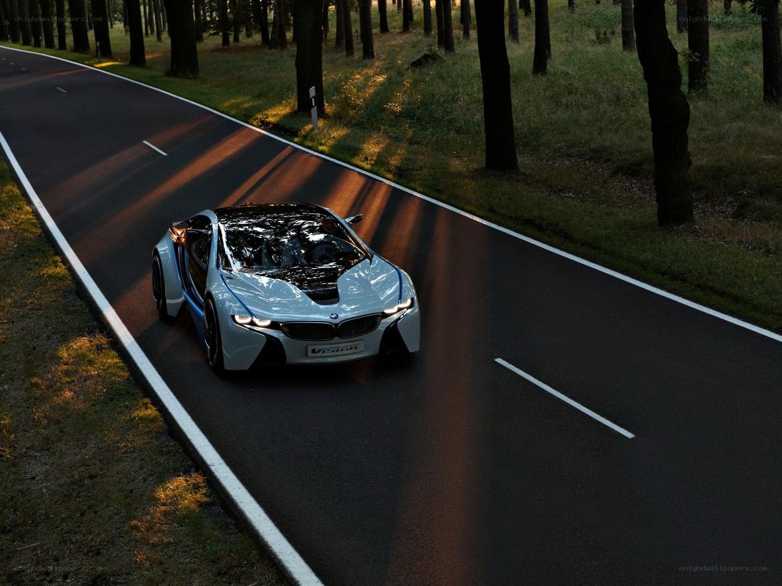 BMW i8 on a forest road