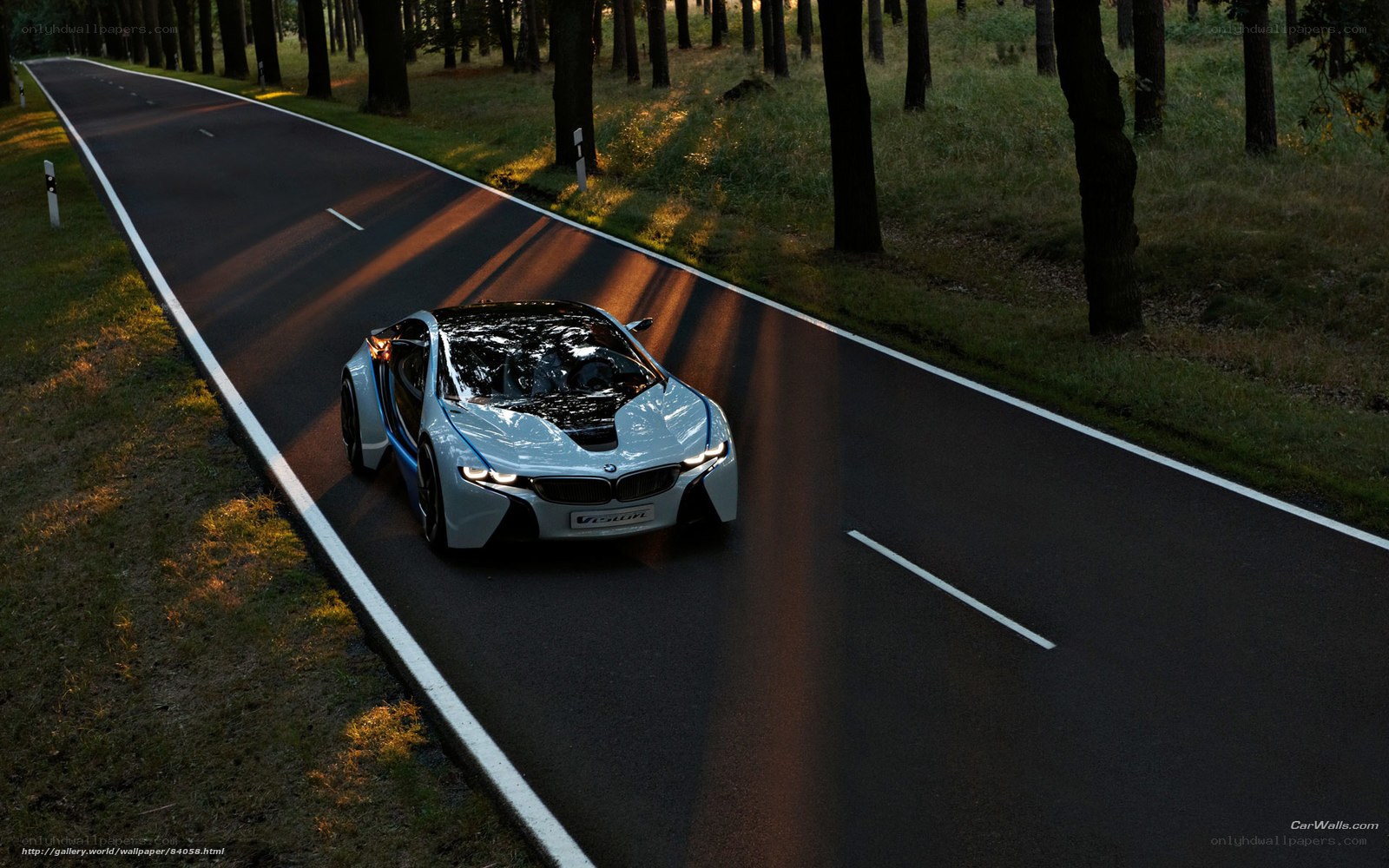 BMW i8 on forest road