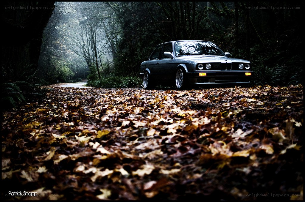 BMW in autumn forest