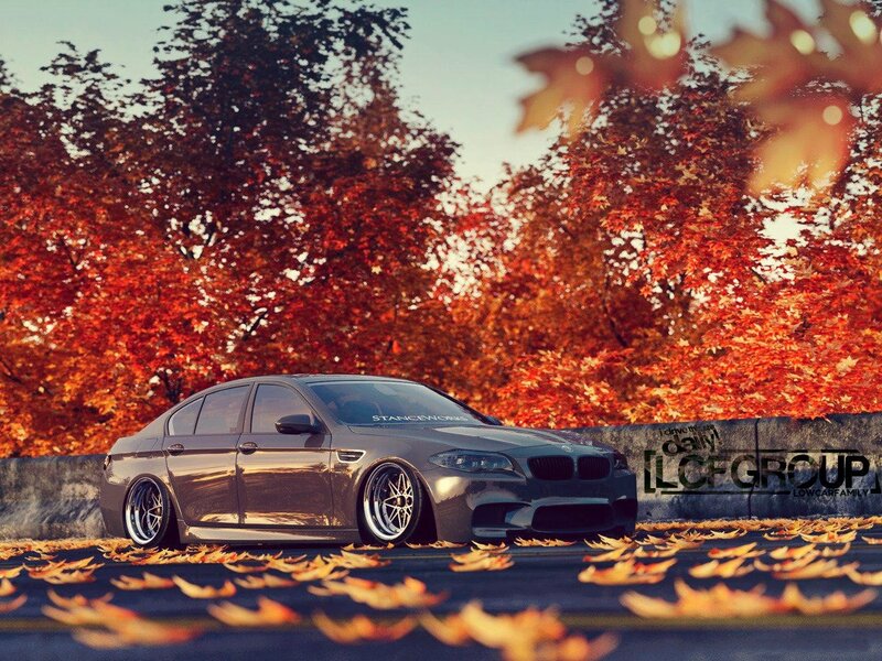 BMW in autumn leaves