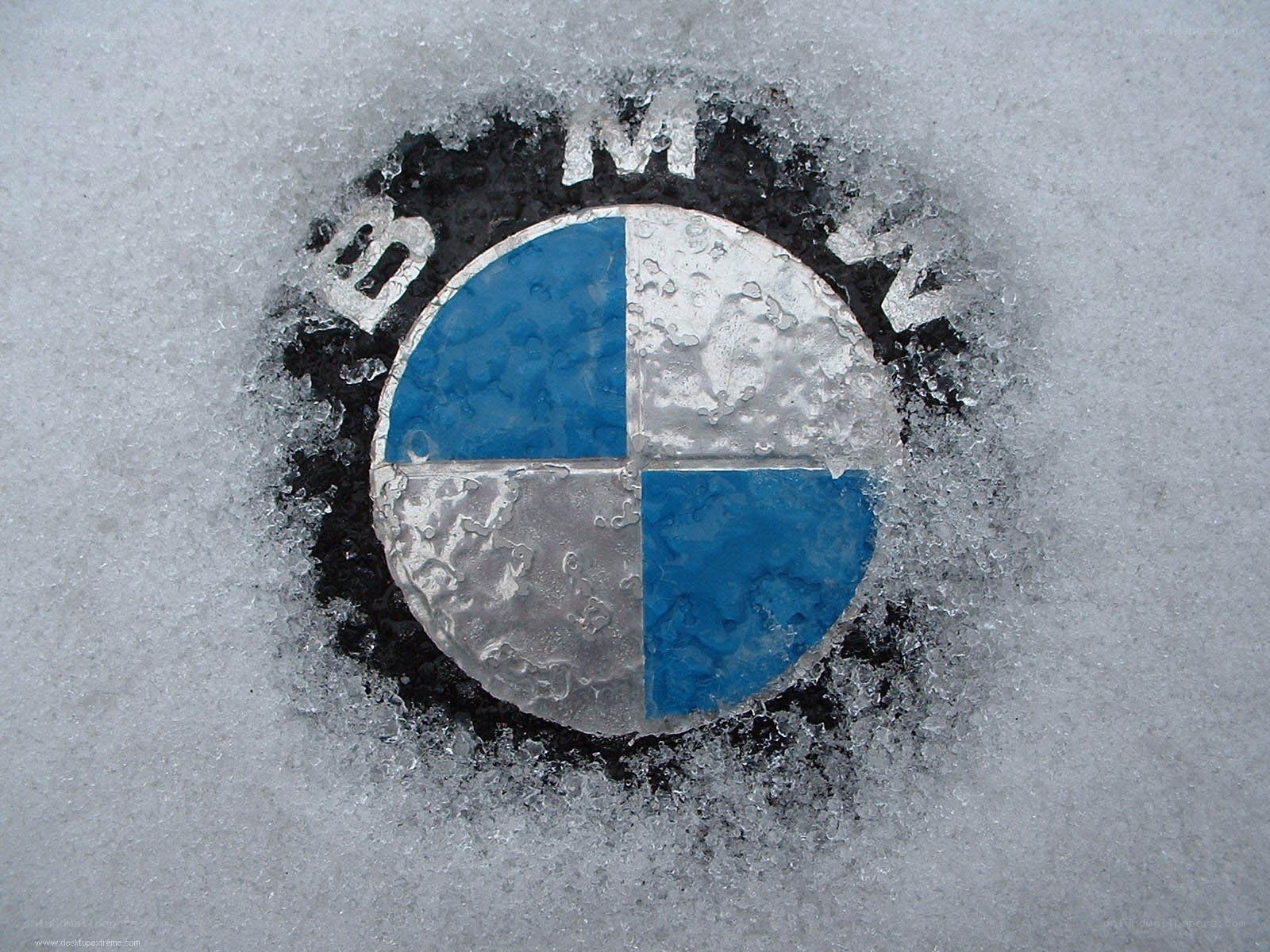 BMW logo in snow