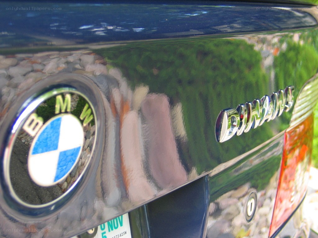 BMW logo on car trunk
