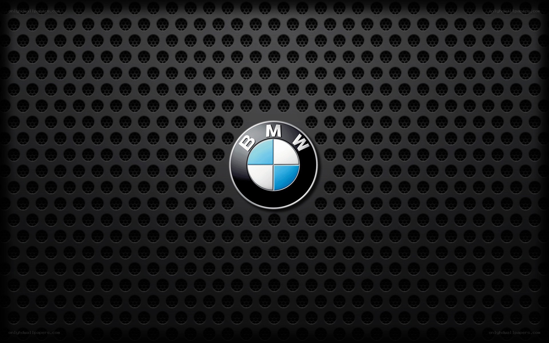 BMW logo on perforated metal