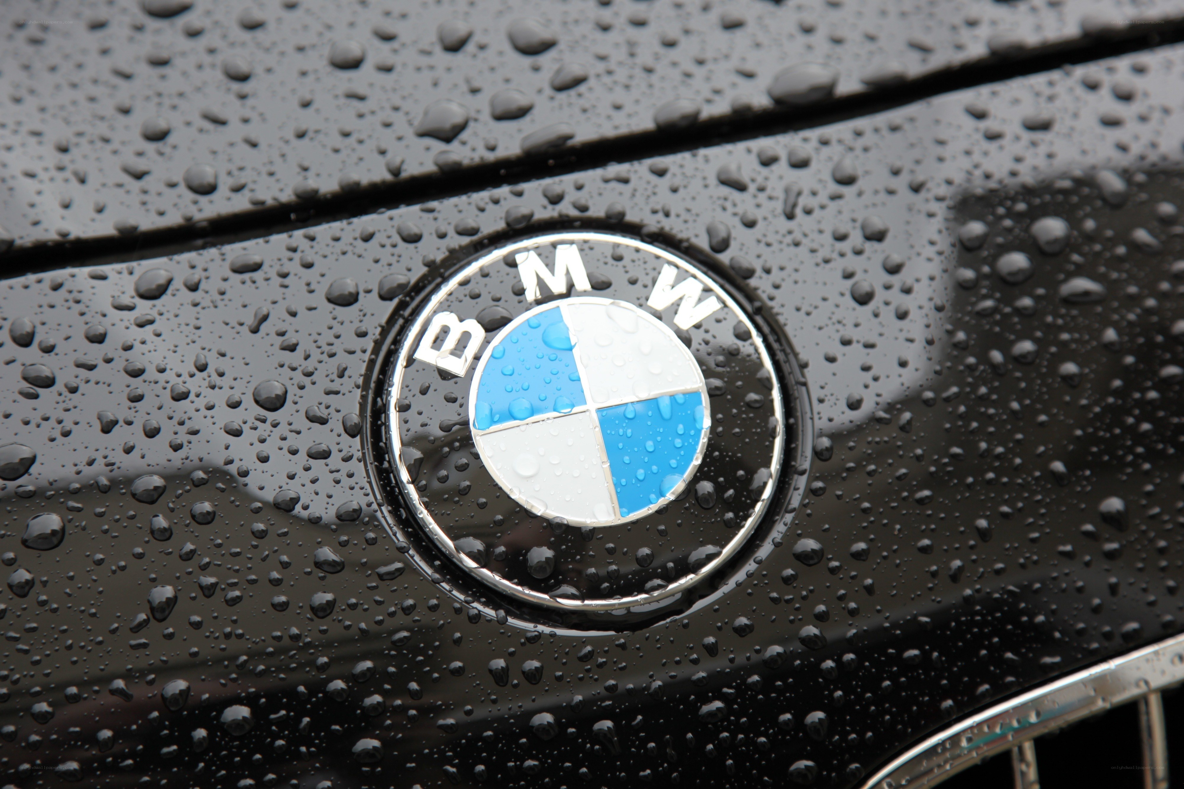 BMW logo on wet car