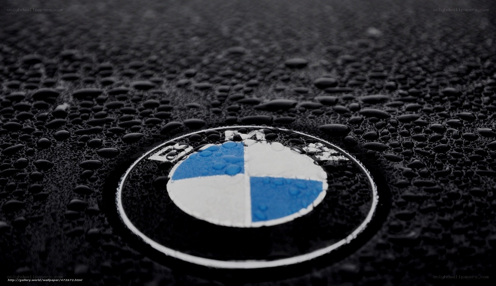 BMW logo on wet surface