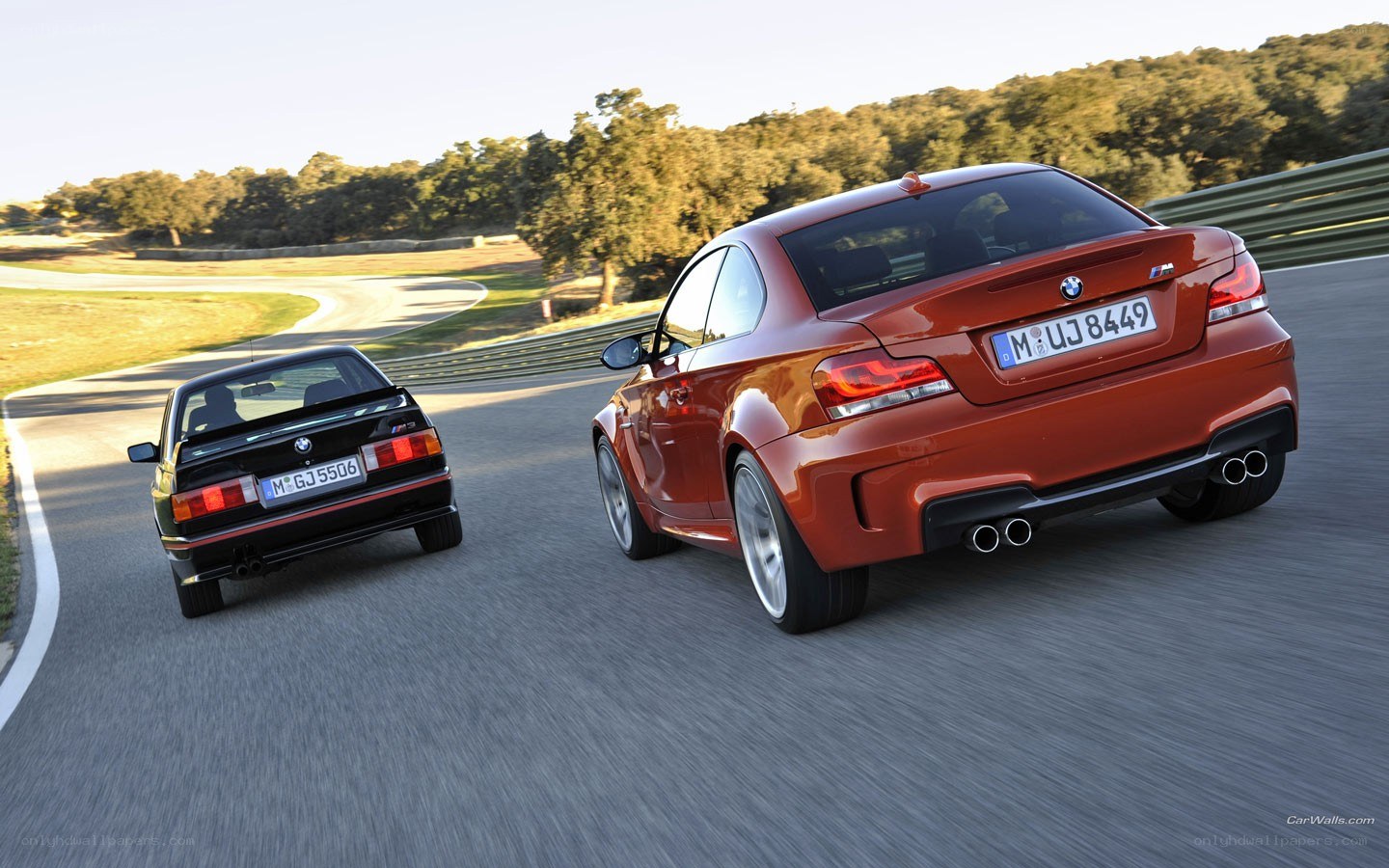 BMW M1 and M2 on a racetrack