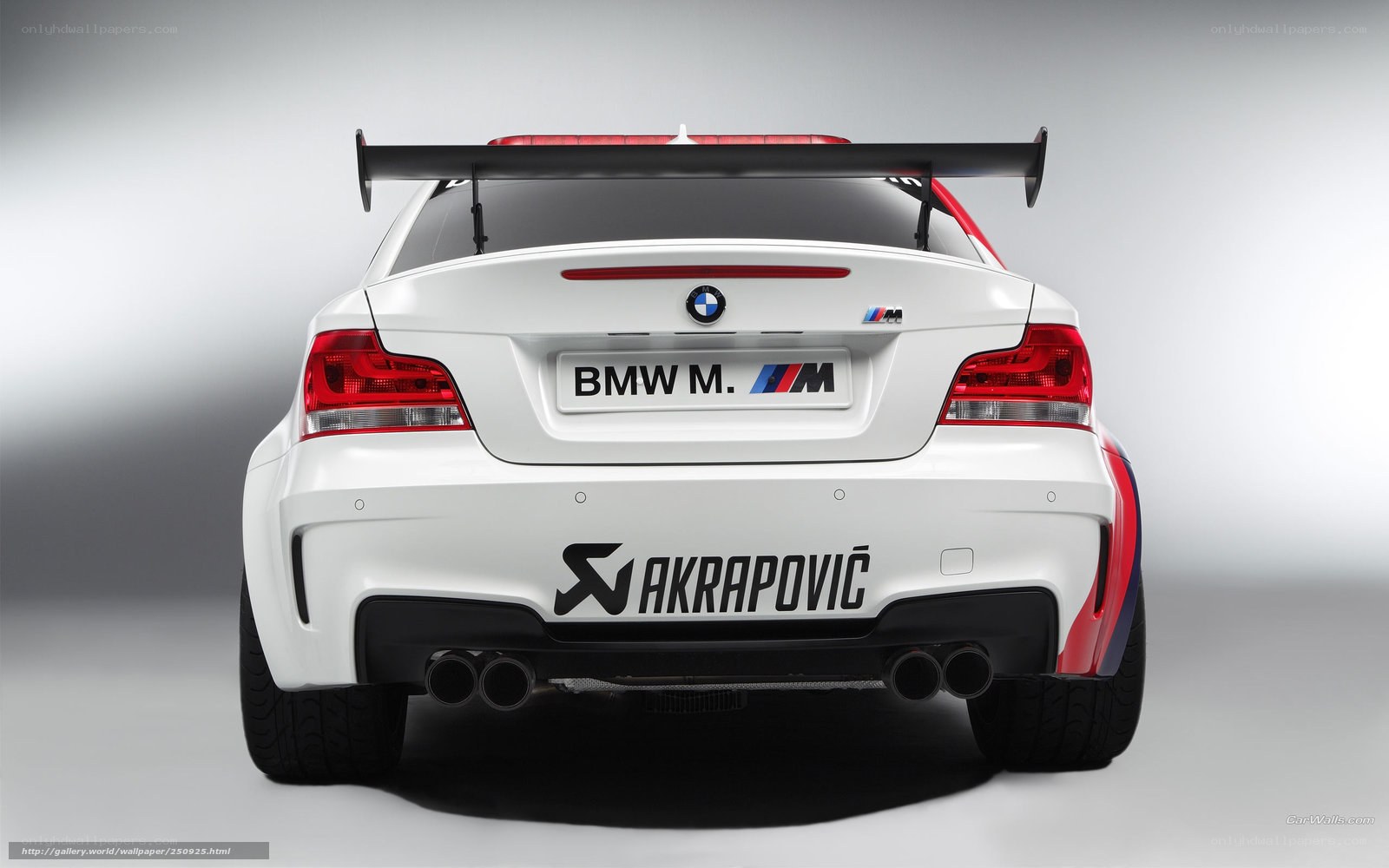 BMW M1 race car rear view