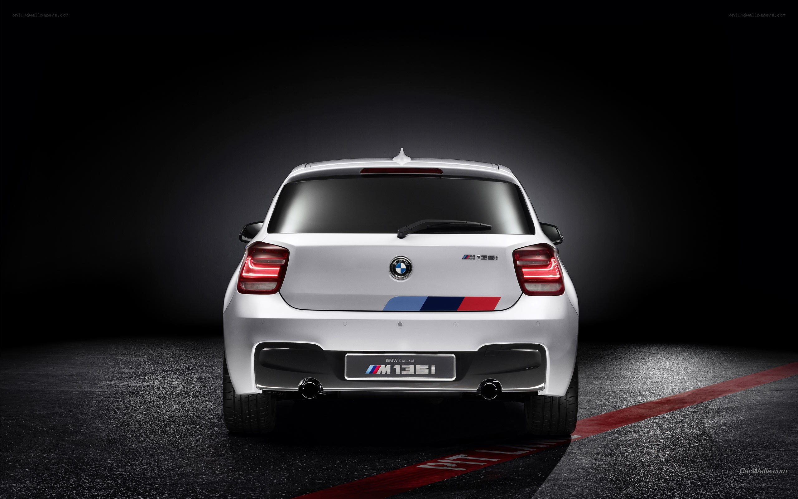 BMW M135i rear view