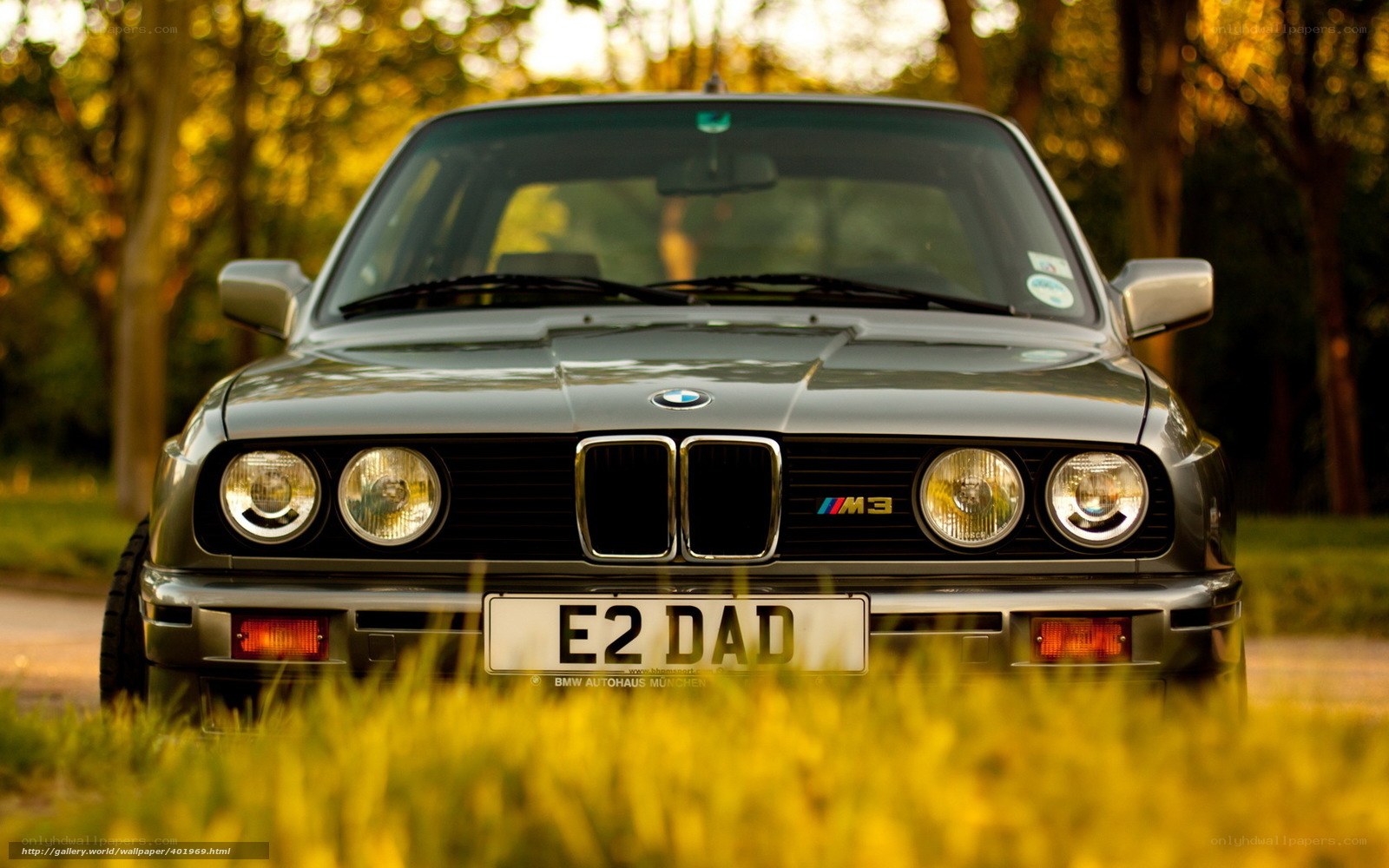 BMW M3 in a park